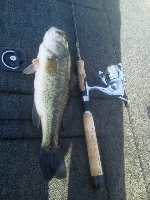 山中湖、河口湖バス釣りガイド。早野剛史-1331638192549.jpg