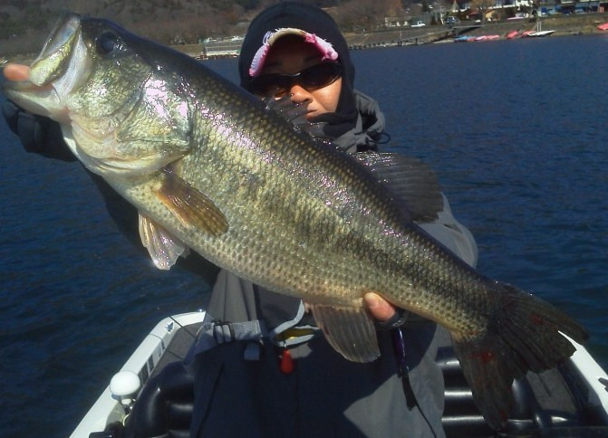 山中湖、河口湖バス釣りガイド。早野剛史