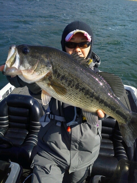 山中湖、河口湖バス釣りガイド。早野剛史-1333709329217.jpg