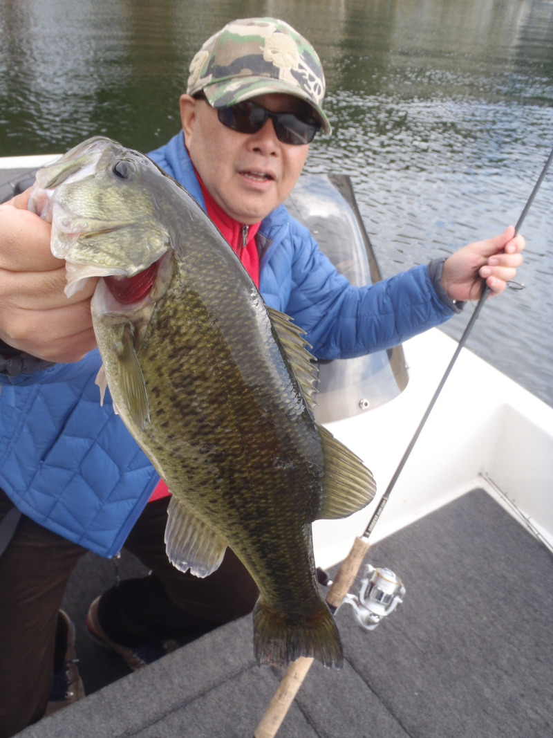 山中湖、河口湖、西湖、野尻湖バス釣りガイド。早野剛史