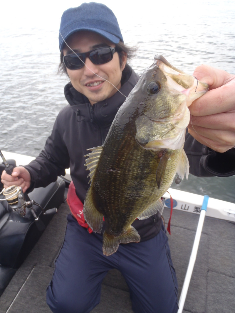 山中湖、河口湖、西湖、野尻湖バス釣りガイド。早野剛史