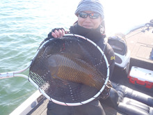 山中湖、河口湖、西湖、野尻湖バス釣りガイド。早野剛史