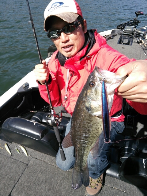 山中湖、河口湖、西湖、野尻湖バス釣りガイド。早野剛史-未設定