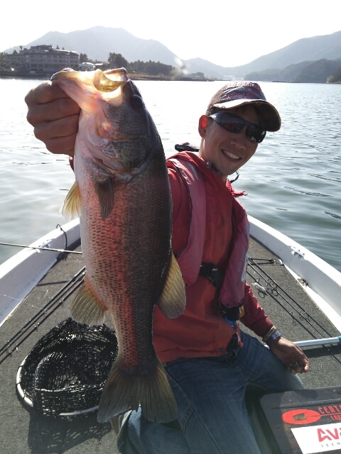 山中湖、河口湖、西湖、野尻湖バス釣りガイド。早野剛史-未設定