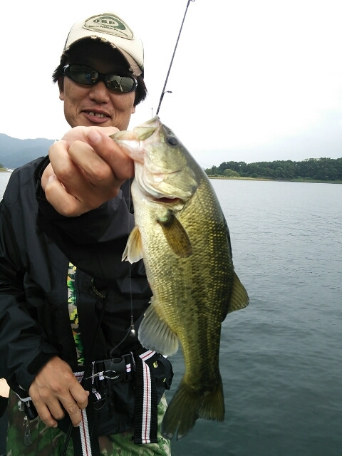 山中湖、河口湖、西湖、野尻湖バス釣りガイド。早野剛史-1378649225833.jpg